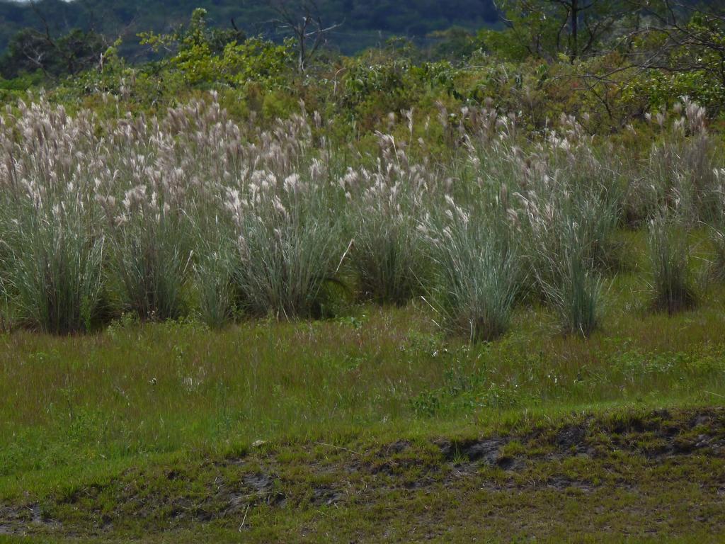 Pousada Vovo Alice Serra do Cipo National Park Екстер'єр фото